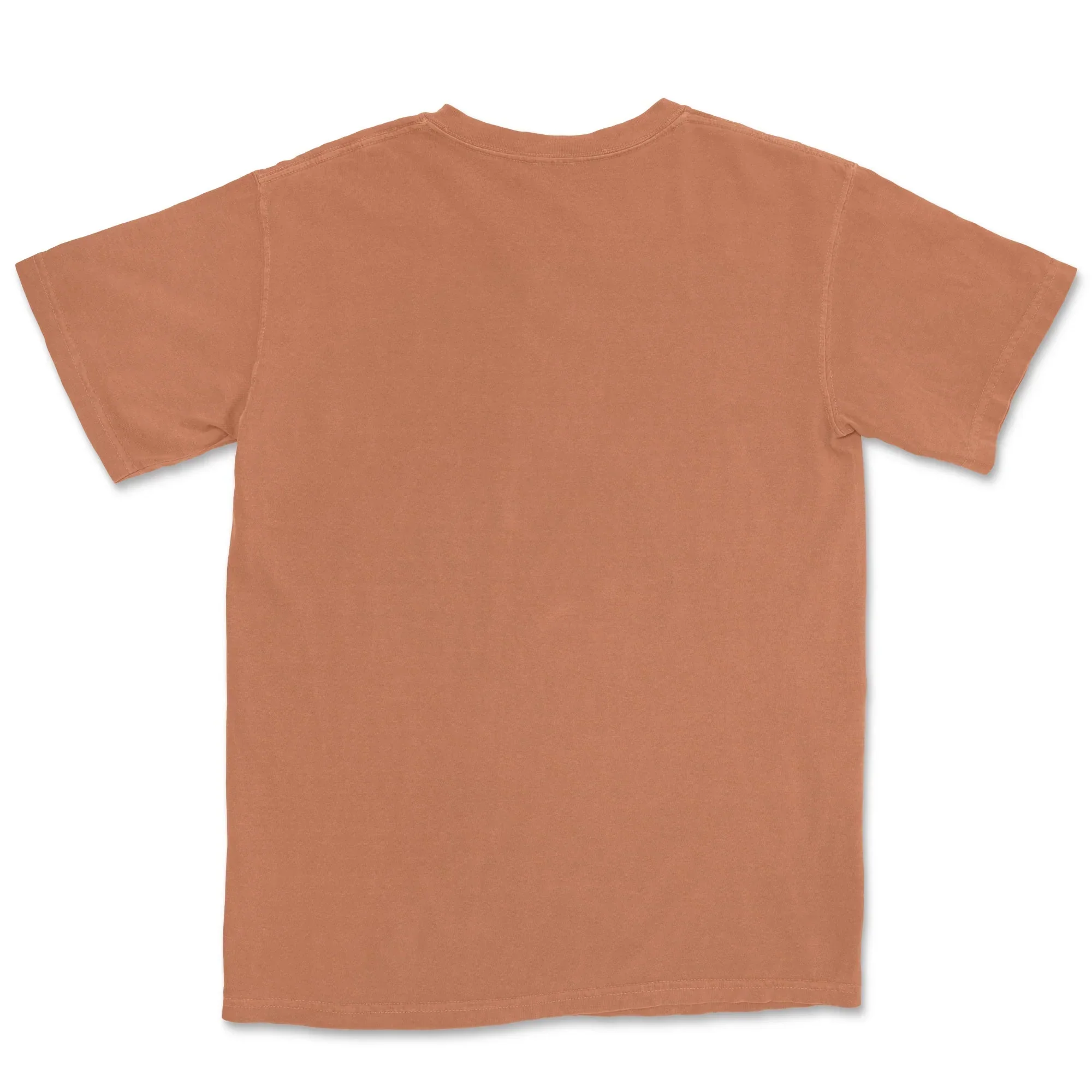 Custom Comfort Colors Adult T-Shirt 1717 - Image 15