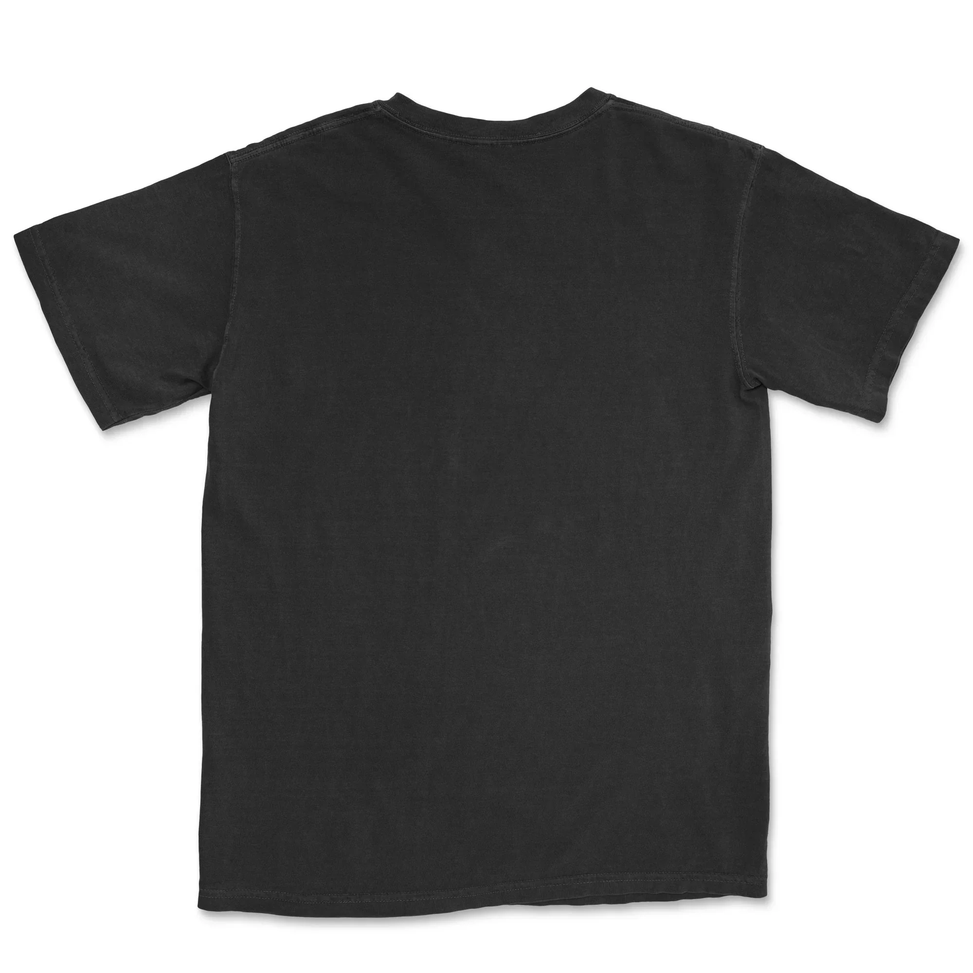 Custom Comfort Colors Adult T-Shirt 1717 - Image 3