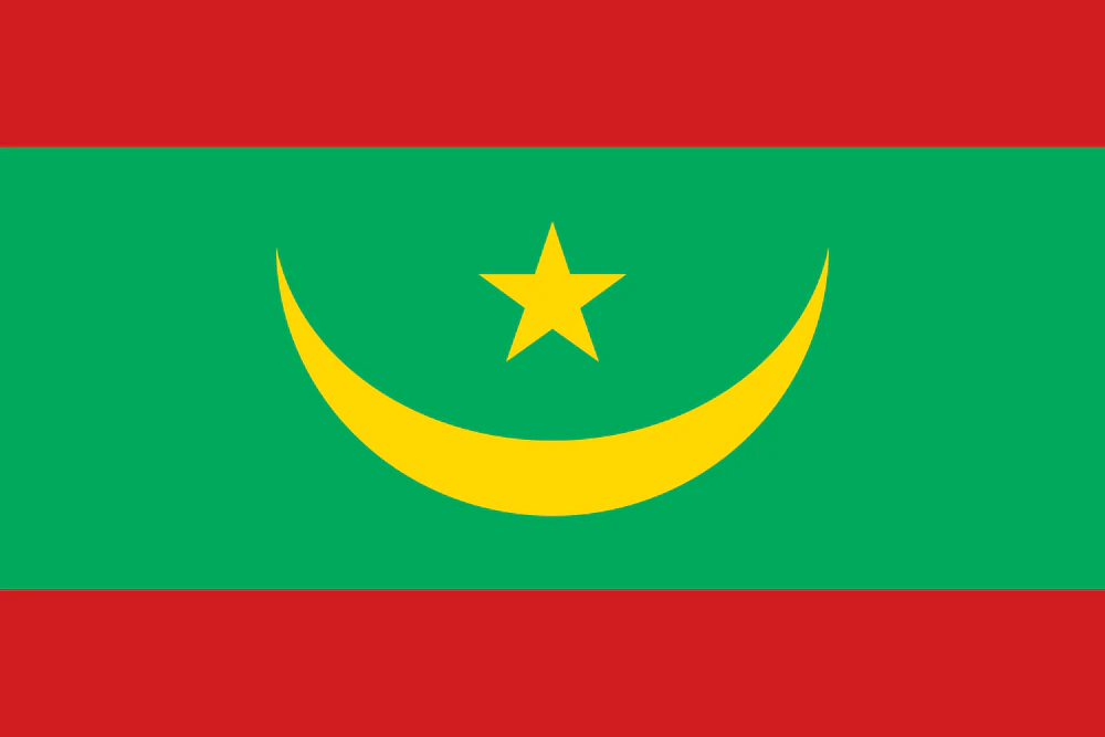 Mauritania Flag - Country Flags DTF Transfers