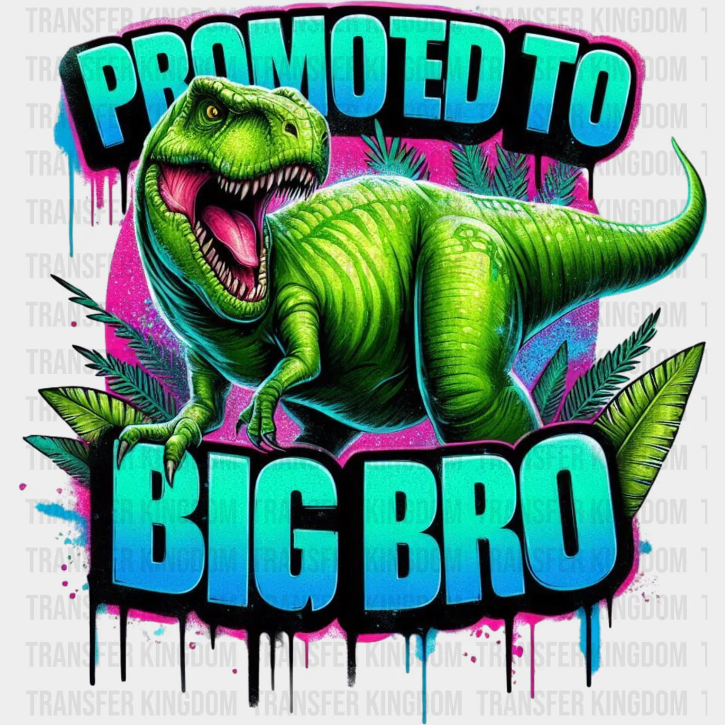 Promoted To Big Bro - Brother DTF Transfers